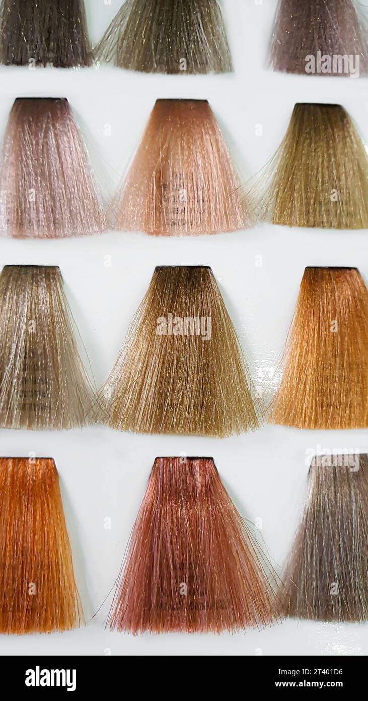 Una tavolozza di colori dei capelli fatta di fili artificiali su sfondo bianco. Selezione del colore. Copia spazio Foto Stock