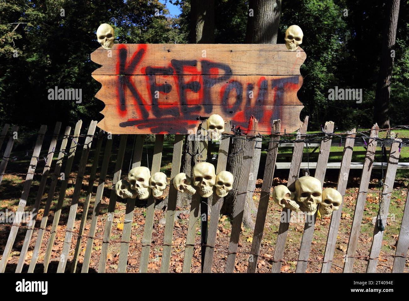 Scena di Halloween a Long Island NY Foto Stock