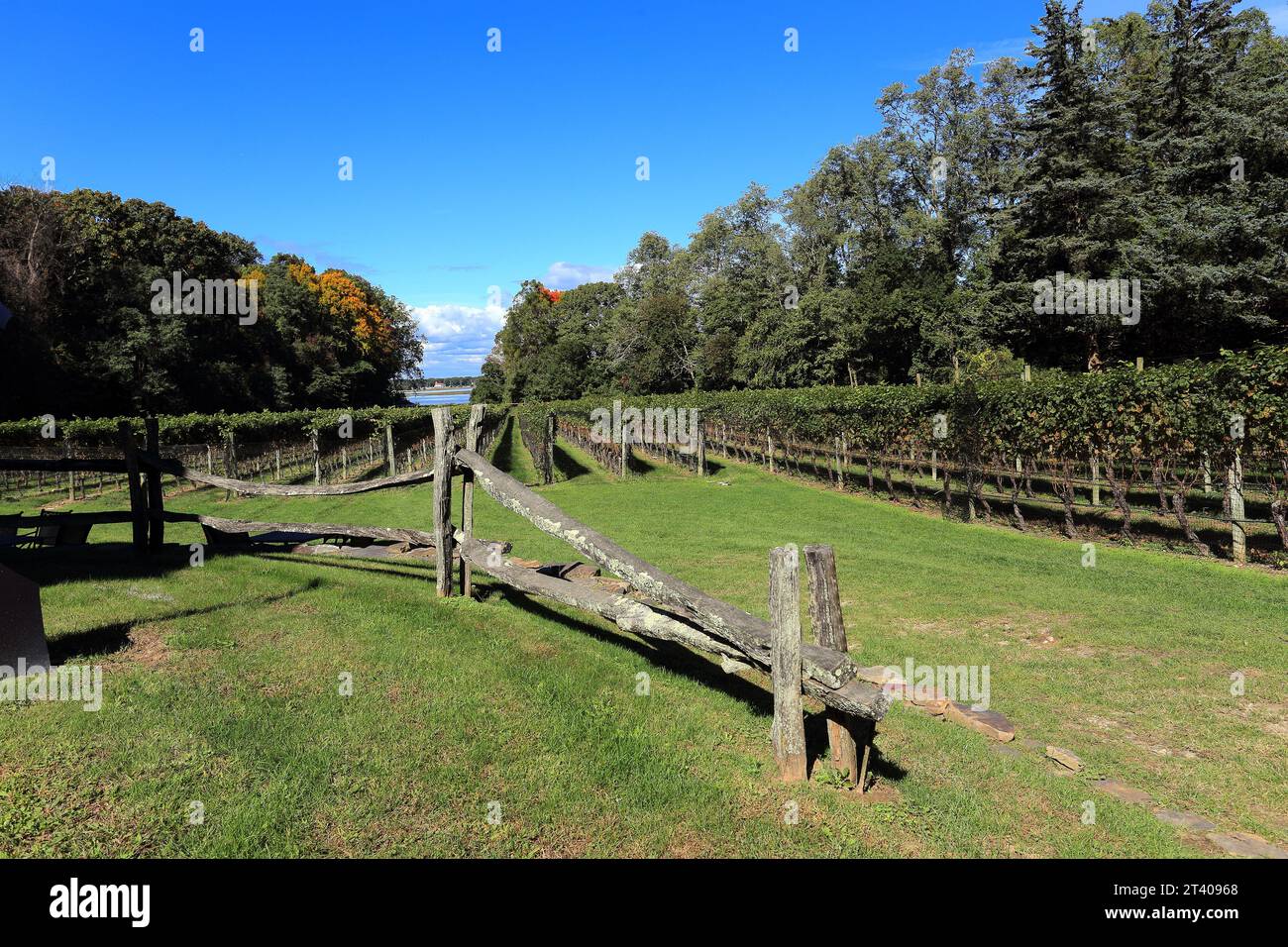 Cantina Harmony Vineyards Head of the Harbor Long Island NY Foto Stock