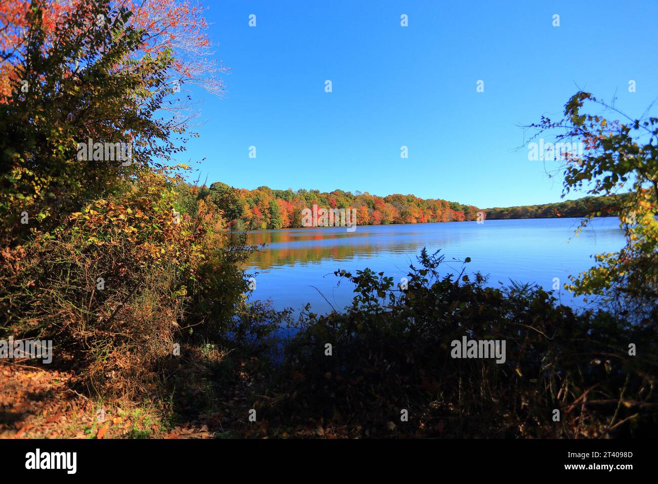 Blydenburgh Park Smithtown Long Island NY Foto Stock