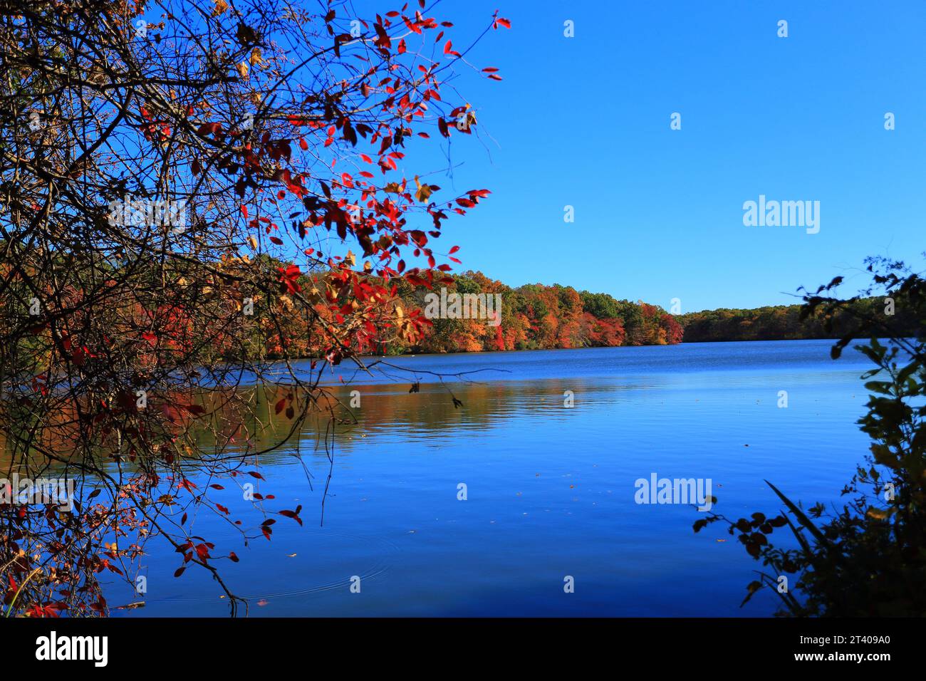 Blydenburgh Park Smithtown Long Island NY Foto Stock