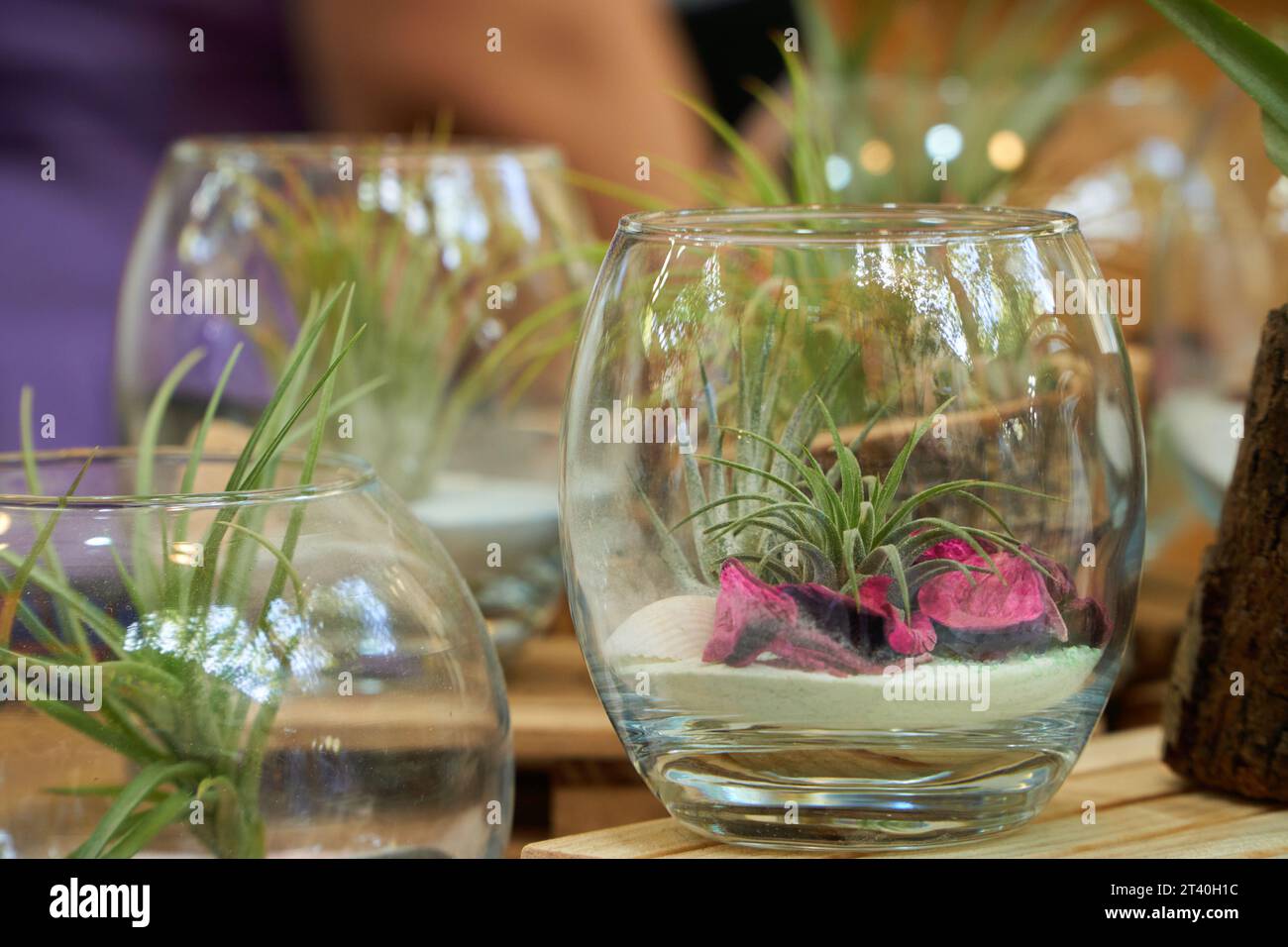 Piccole palline di cristallo botaniche e vasi. Artigianato sostenibile per il giardinaggio Foto Stock