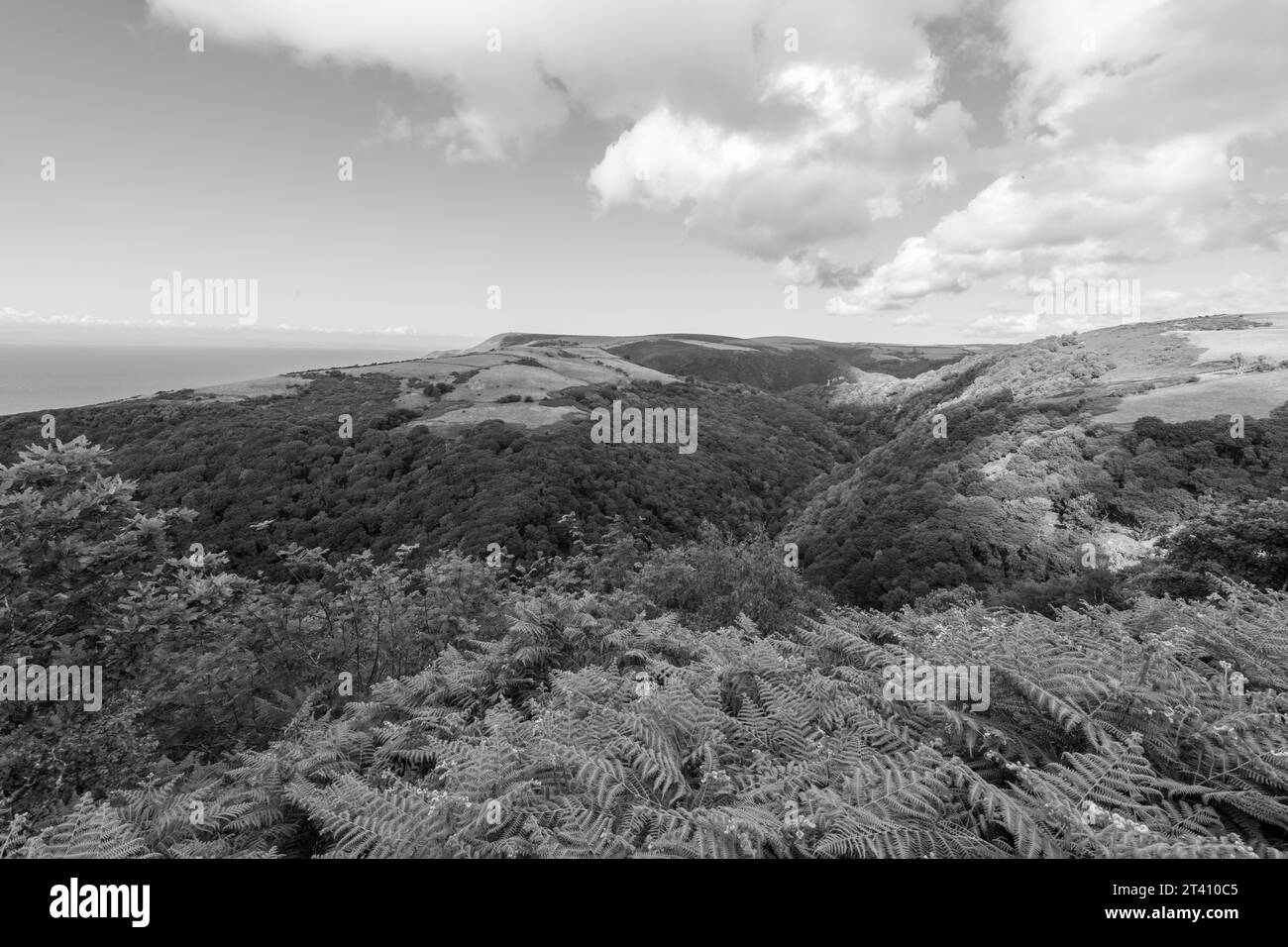 Foto paesaggistica di Countisbury Hill e Watersmeet Valley nel Parco Nazionale di Exmmor Foto Stock