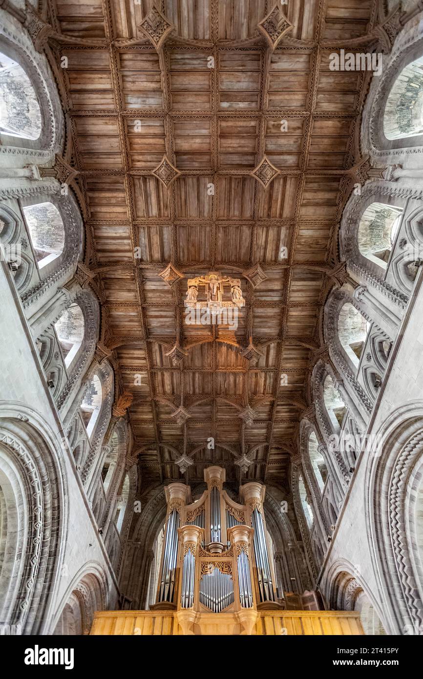 Soffitto in legno intagliato della Cattedrale di St Davids, con l'intaglio sospeso della crocifissione sostitutiva del XX secolo, Pembrokeshire, Galles sud-occidentale Foto Stock