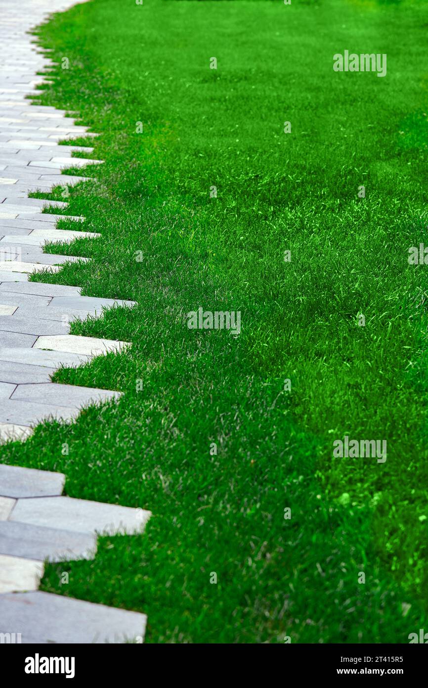 pavimentazione con motivo decorativo piastrelle in pietra e prato verde rifinito sul parco estivo, immagine verticale, nessuno. Foto Stock