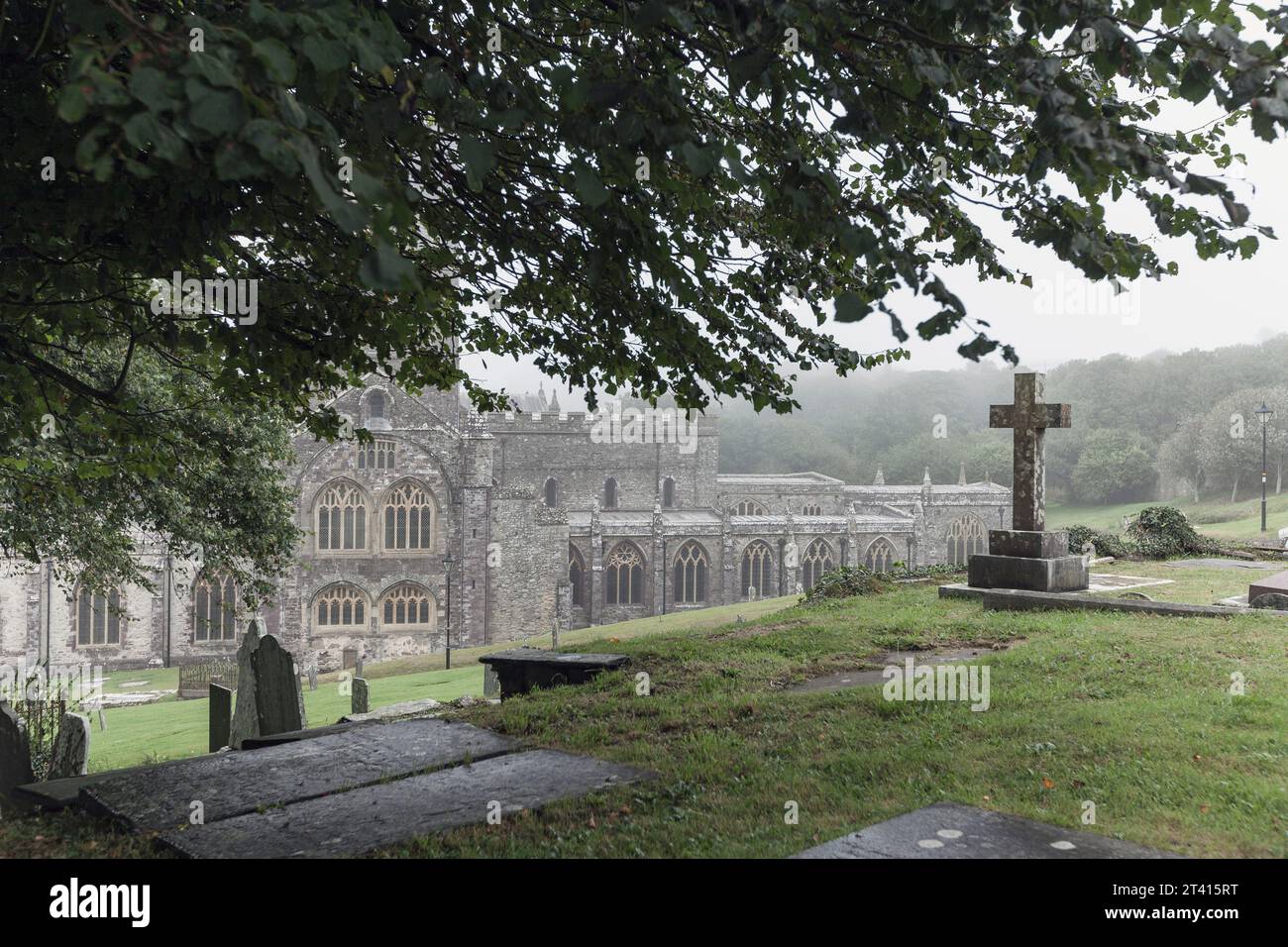 St Davids Cathedral, Pembrokeshire, Galles sud-occidentale Foto Stock