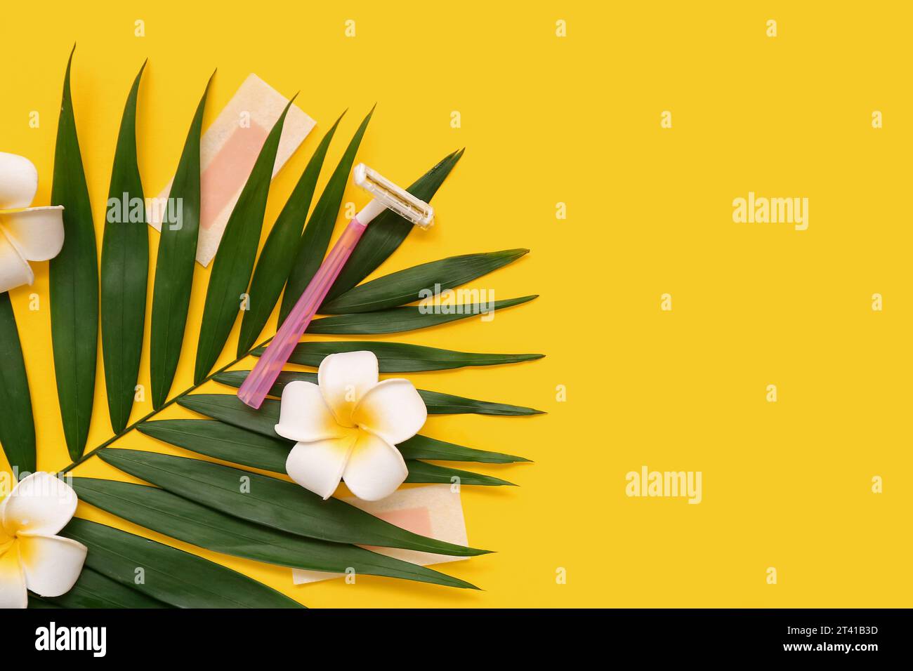 Foglie di palma con splendidi fiori, strisce di cera e rasoio di sicurezza su sfondo giallo Foto Stock