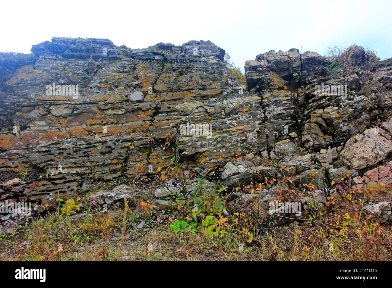 Struttura geologica dello scisto, primo piano della foto Foto Stock