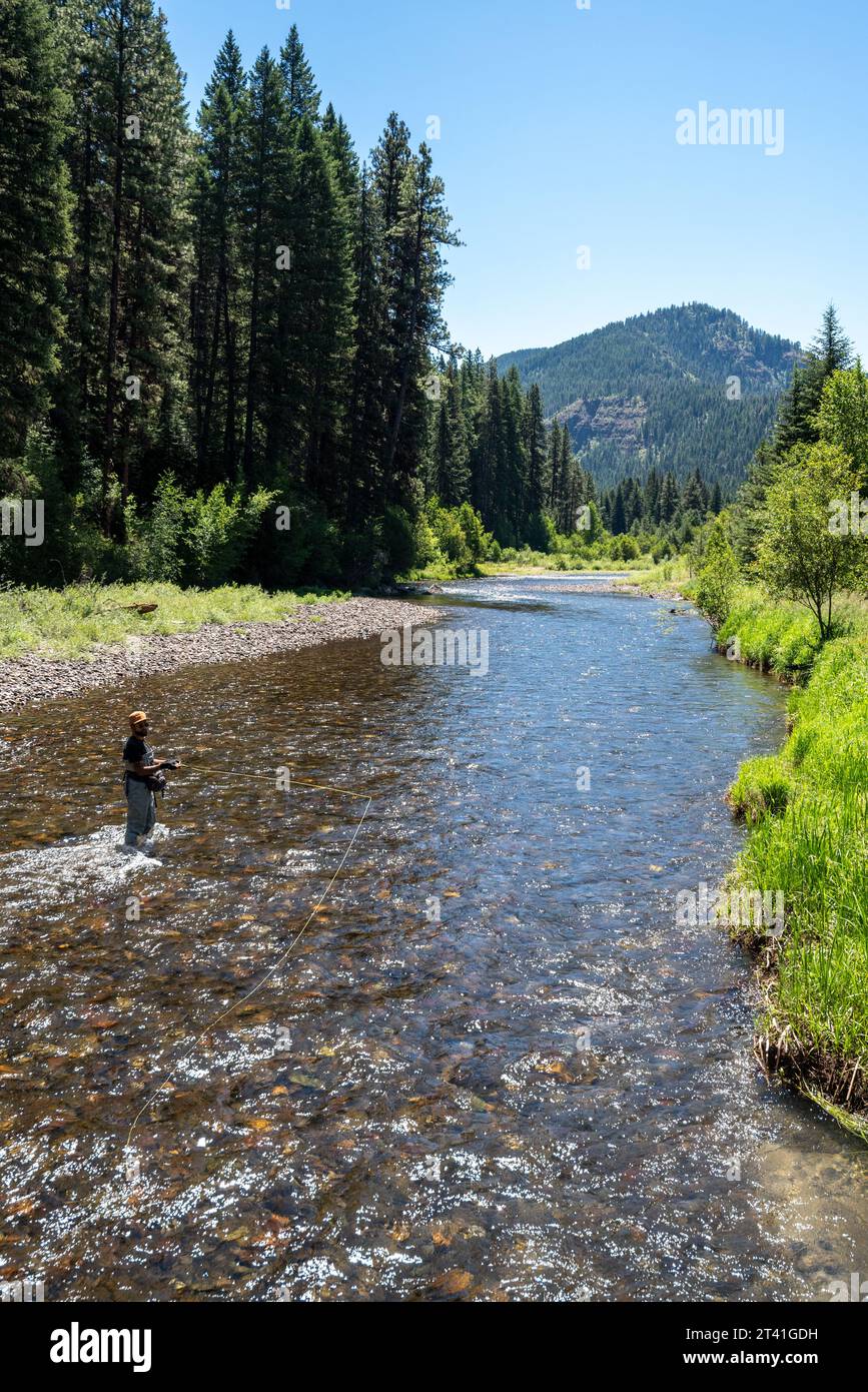 Pesca con la mosca sul Minam Wild & Scenic River, sulle Wallowa Mountains, Oregon. Foto Stock