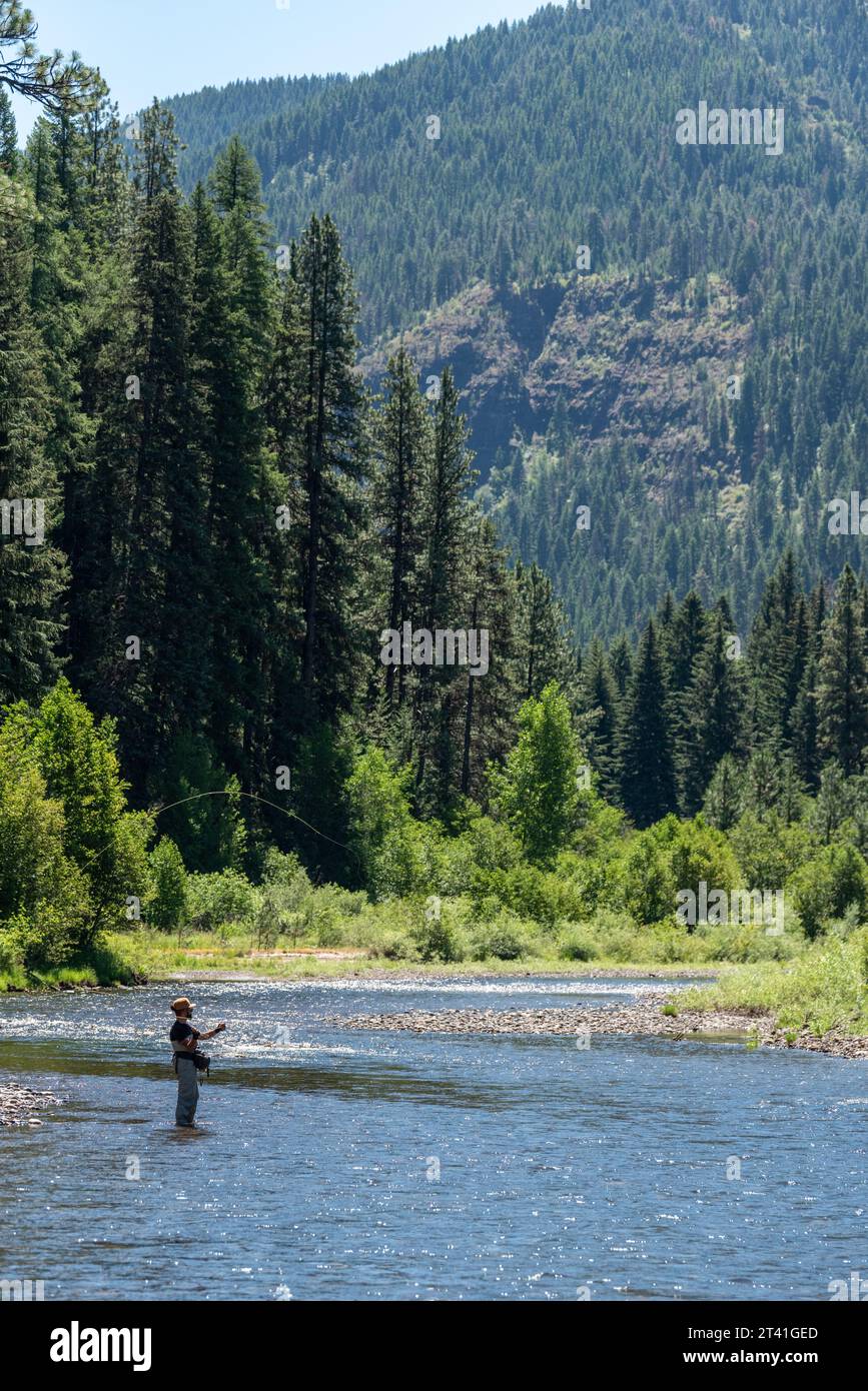 Pesca con la mosca sul Minam Wild & Scenic River, sulle Wallowa Mountains, Oregon. Foto Stock