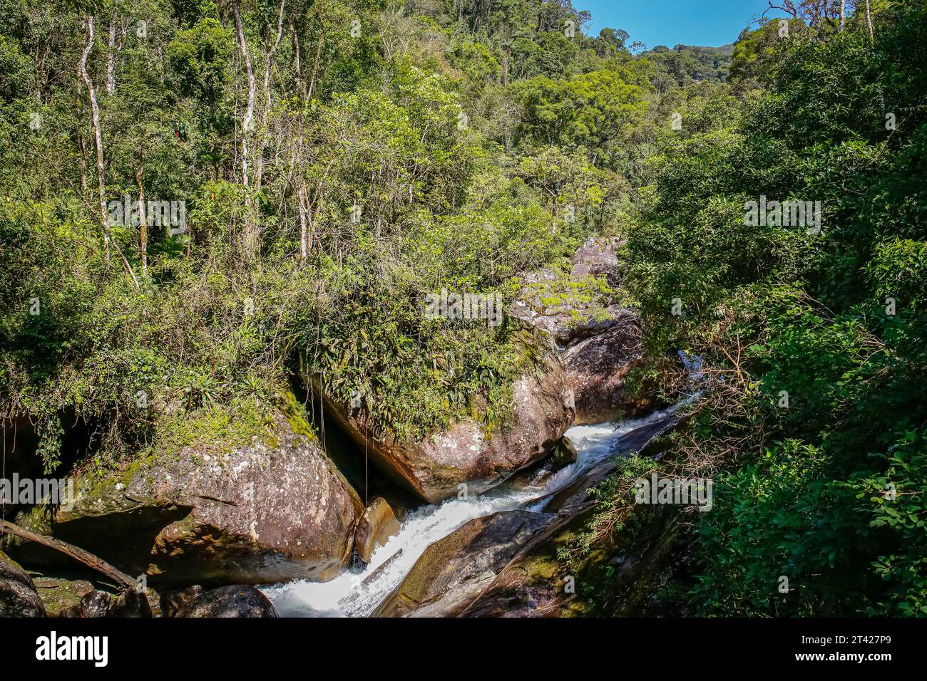 Cascate d'acqua nella foresta tropicale atlantica, Serra da Mantiqueira, Brasile Foto Stock