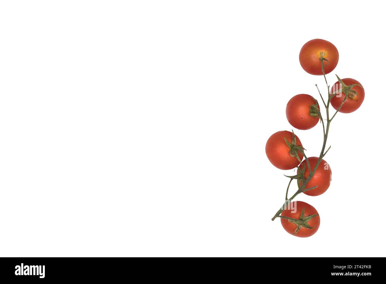 un mazzo di pomodori su sfondo trasparente Foto Stock