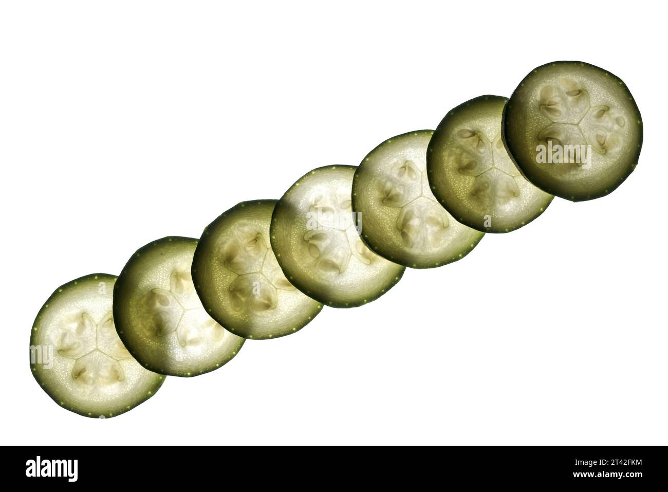 Fette di zucchine illuminato dal retro Foto Stock