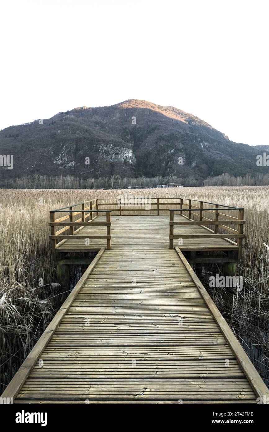 una piattaforma di legno sulla palude su uno sfondo trasparente Foto Stock