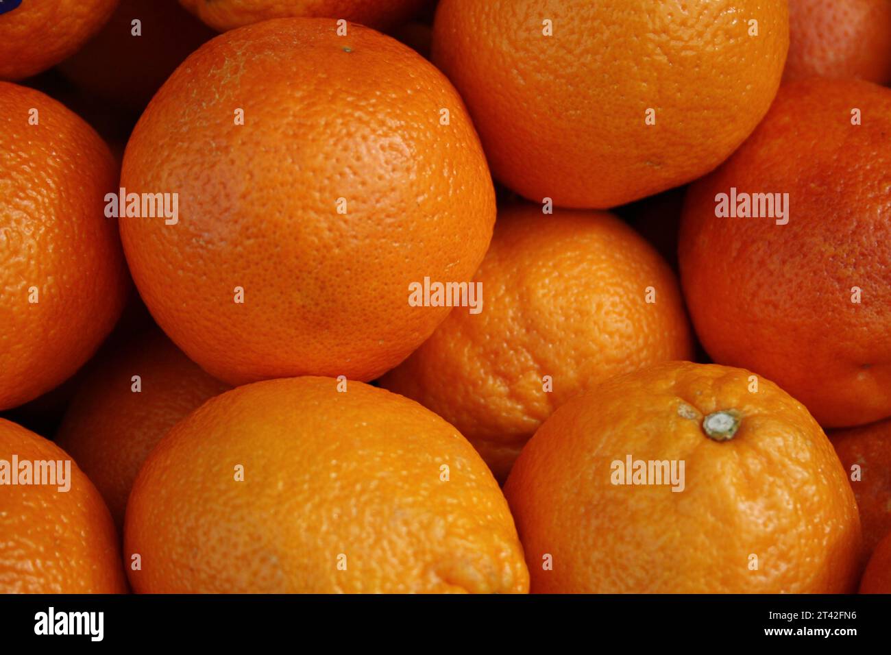 Un'immagine di natura morta di un vivace assortimento di agrumi appena raccolti, con una sola arancia in cima alla pila Foto Stock