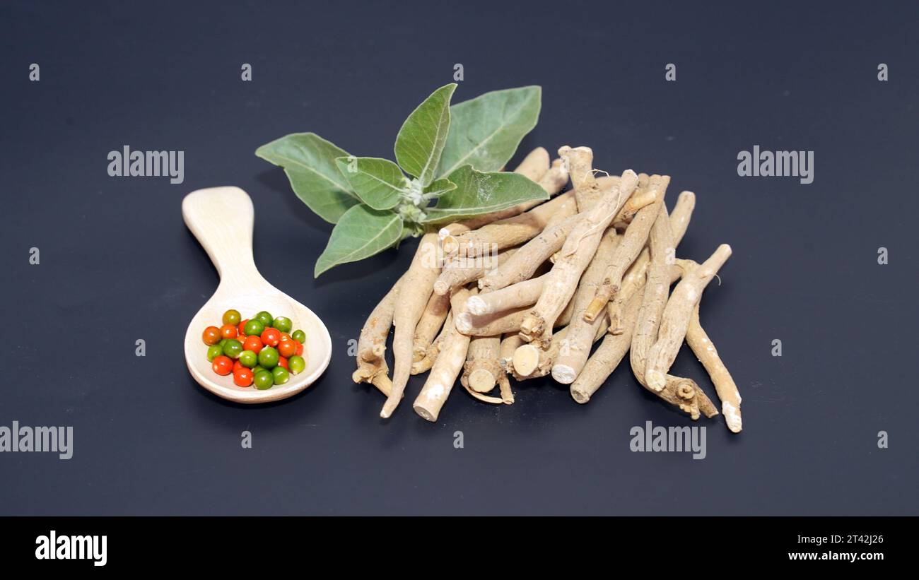 ASHWAGANDHA La Radice Che Calma La Mente E Sostiene Il Cuore - Foto 10