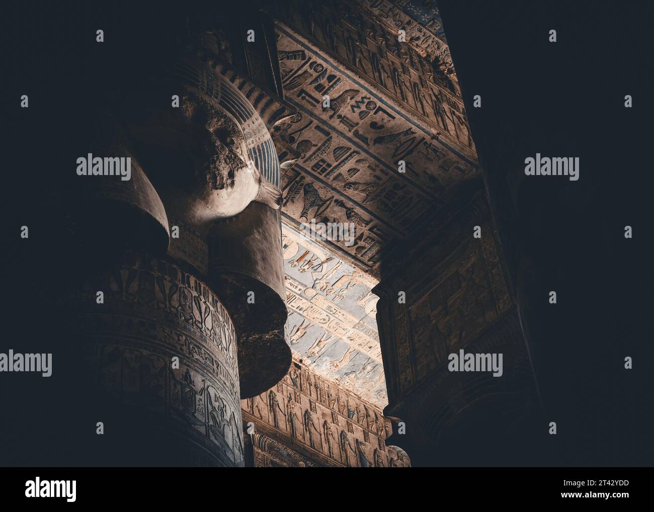 Una vista dettagliata delle opere d'arte sul soffitto e delle colonne scolpite nel complesso del Tempio di Dendera Foto Stock