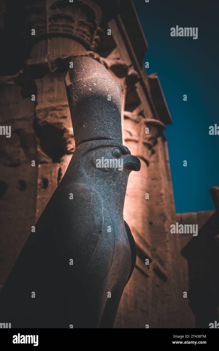 Il maestoso Horus dalla testa di falco è di guardia al Tempio di Edfu Foto Stock