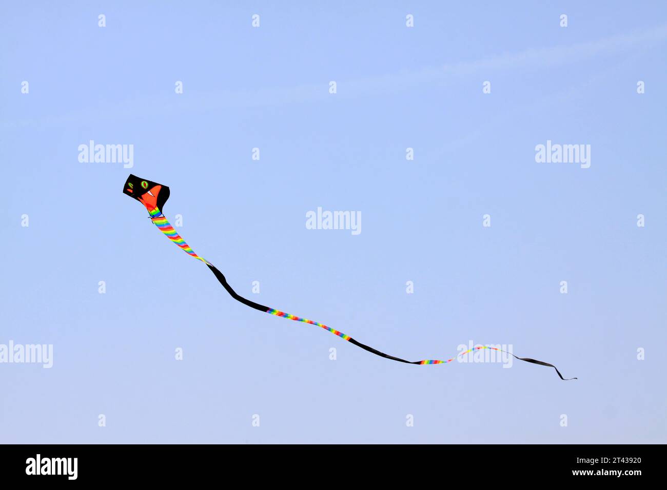 cobra modellante aquilone che galleggia nel cielo Foto Stock
