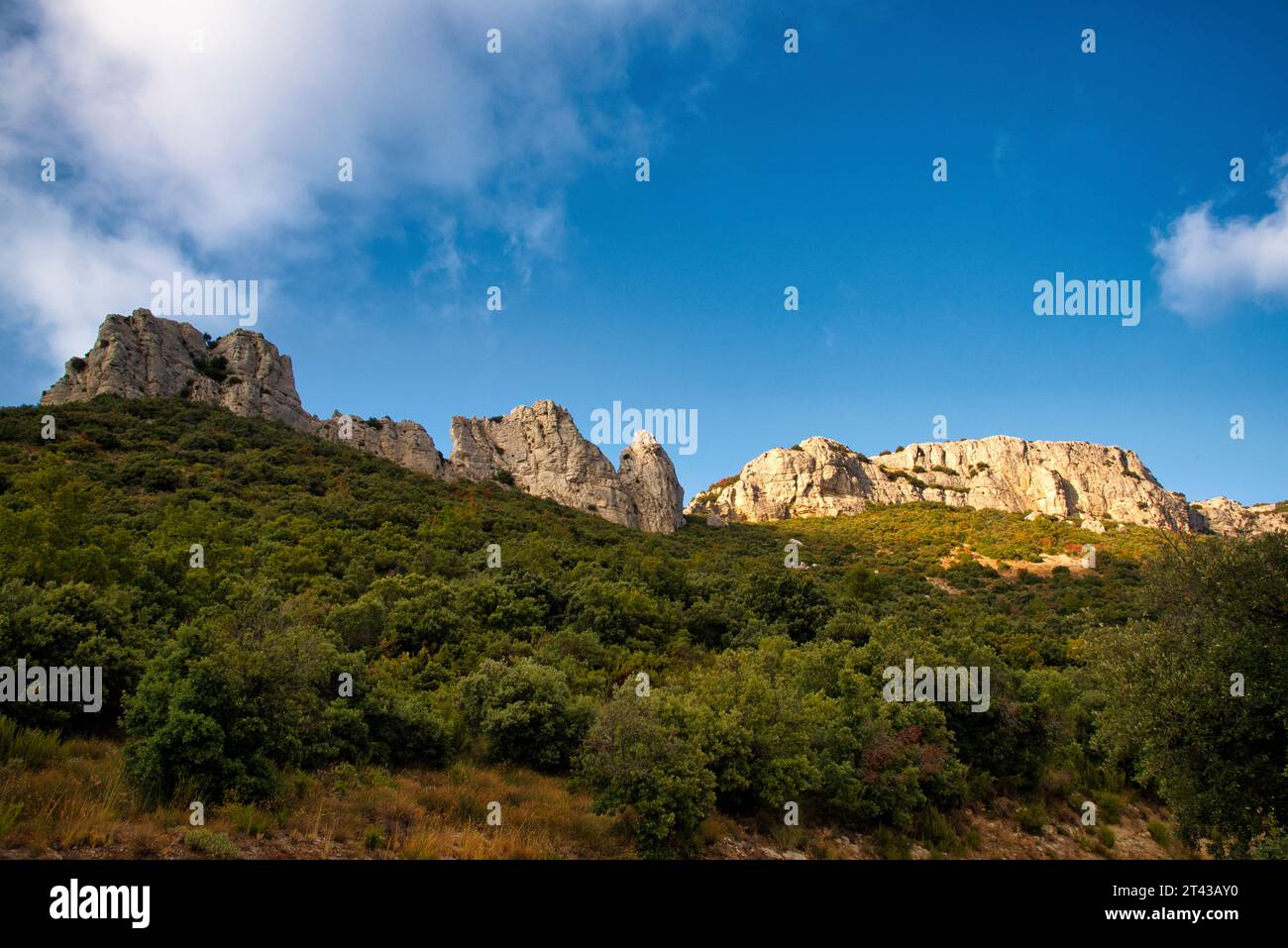 Sulla strada per la Sainte Baume a Gemenos Bouches-du-Rhône Provence-Alpes-Côte-d'Azur Francia Foto Stock