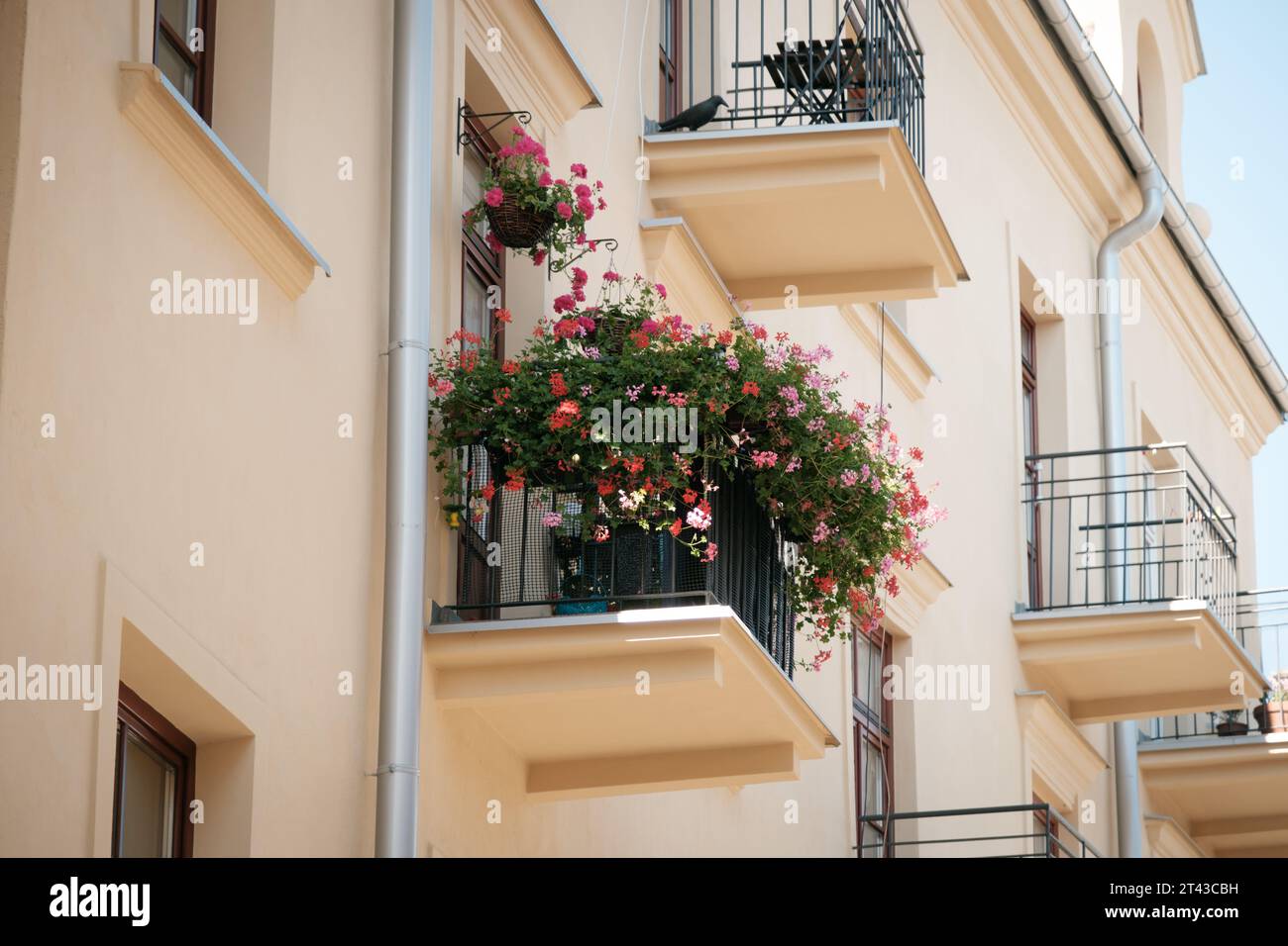 Fiori su un balcone a Lublino, Polonia Foto Stock