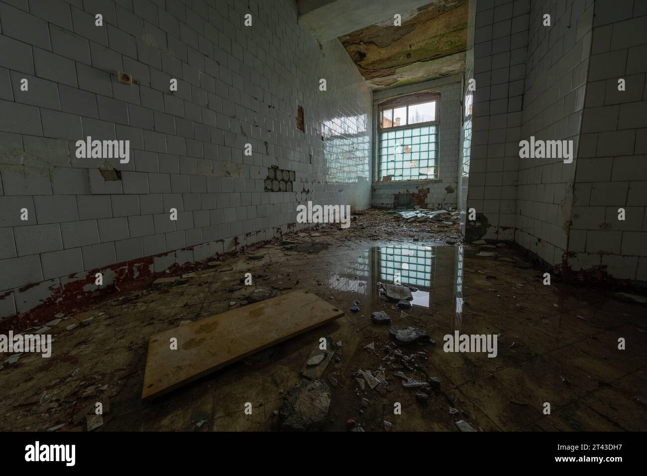 Interno di mattonelle in ceramica rotte abbandonate con mobili rotti di macerie sparse e acqua riflettente sul pavimento alla luce del giorno attraverso finestre con recinzione Foto Stock