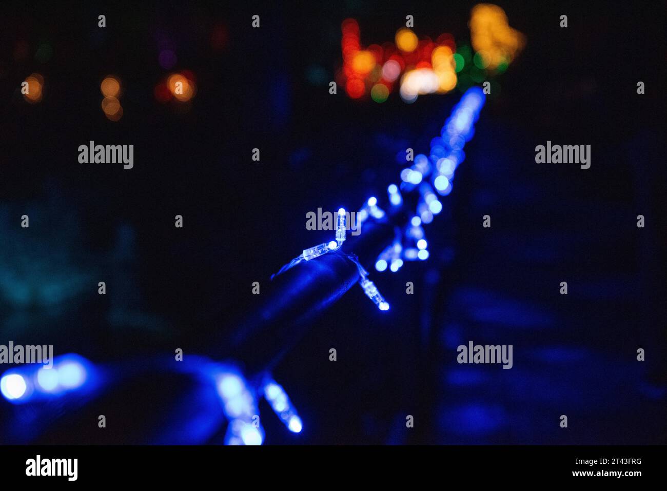 Le luci di Natale brillano con una messa a fuoco nitida e uno sfondo bokeh da sogno, creando una scena notturna incantevole e festosa. Foto Stock