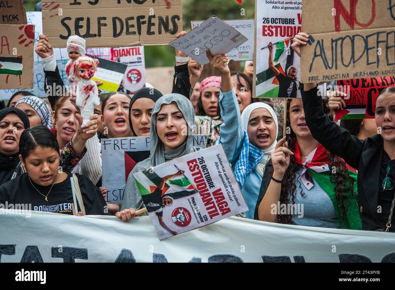 I manifestanti cantano slogan mentre tengono dei segni che esprimono le loro opinioni durante la manifestazione. L'Unione studentesca ha organizzato una giornata di sciopero e successiva manifestazione in varie città spagnole a sostegno della causa palestinese e contro la guerra a Gaza. Le manifestazioni si sono svolte senza incidenti e con gli slogan "non è una guerra, è un genocidio” e "smettere di vendere armi a Israele”. A Barcellona, tra le duemila e le tremila persone si sono riunite con bandiere e bandiere palestinesi. "Free Free Free Palestine" e "Israel Murderer" erano gli slogan più cantati (foto di Mario Coll / SOP Foto Stock