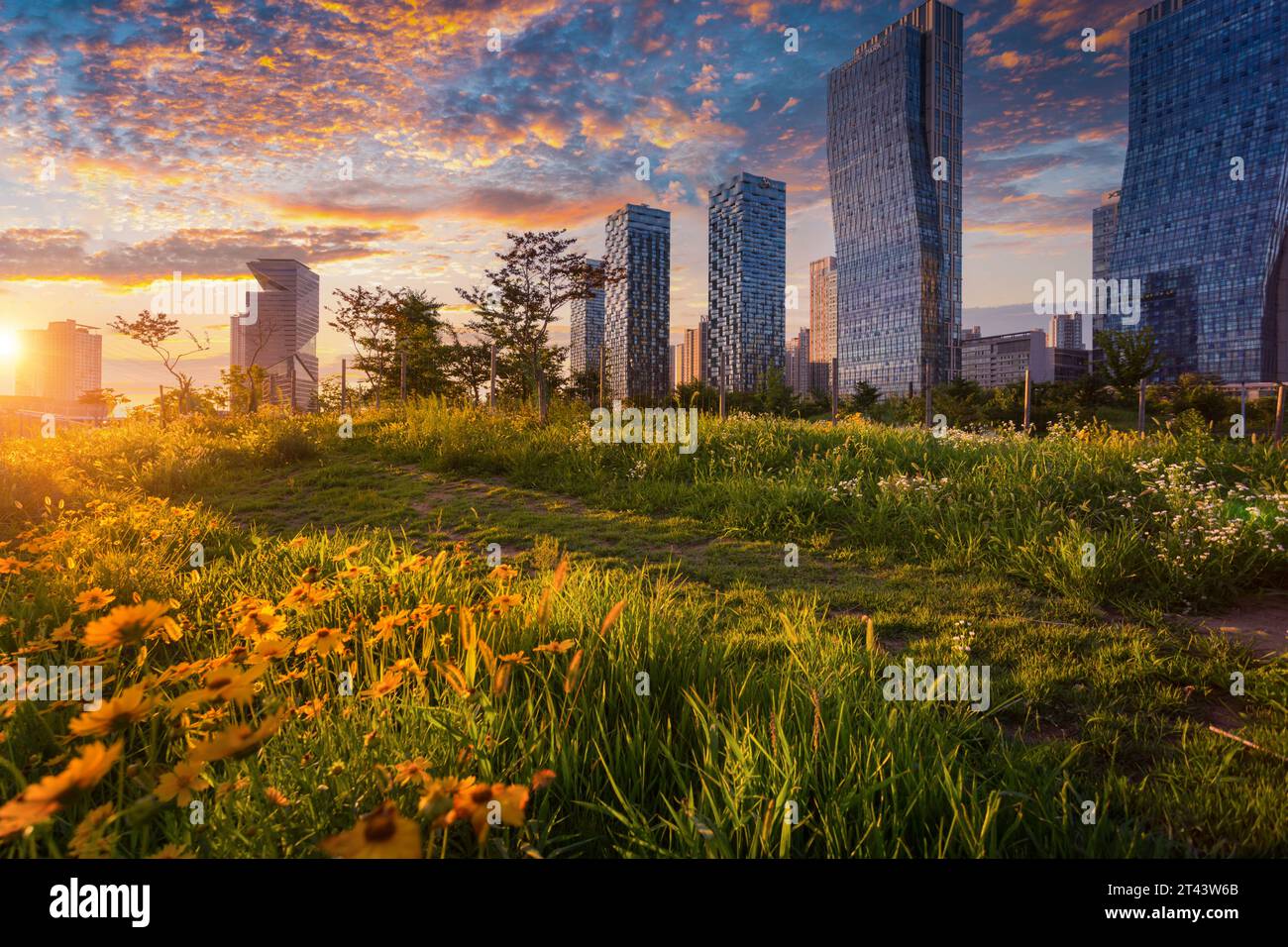 Tramonto in corea, Songdo Central Park nel distretto di Songdo, Incheon Corea del Sud. Foto Stock