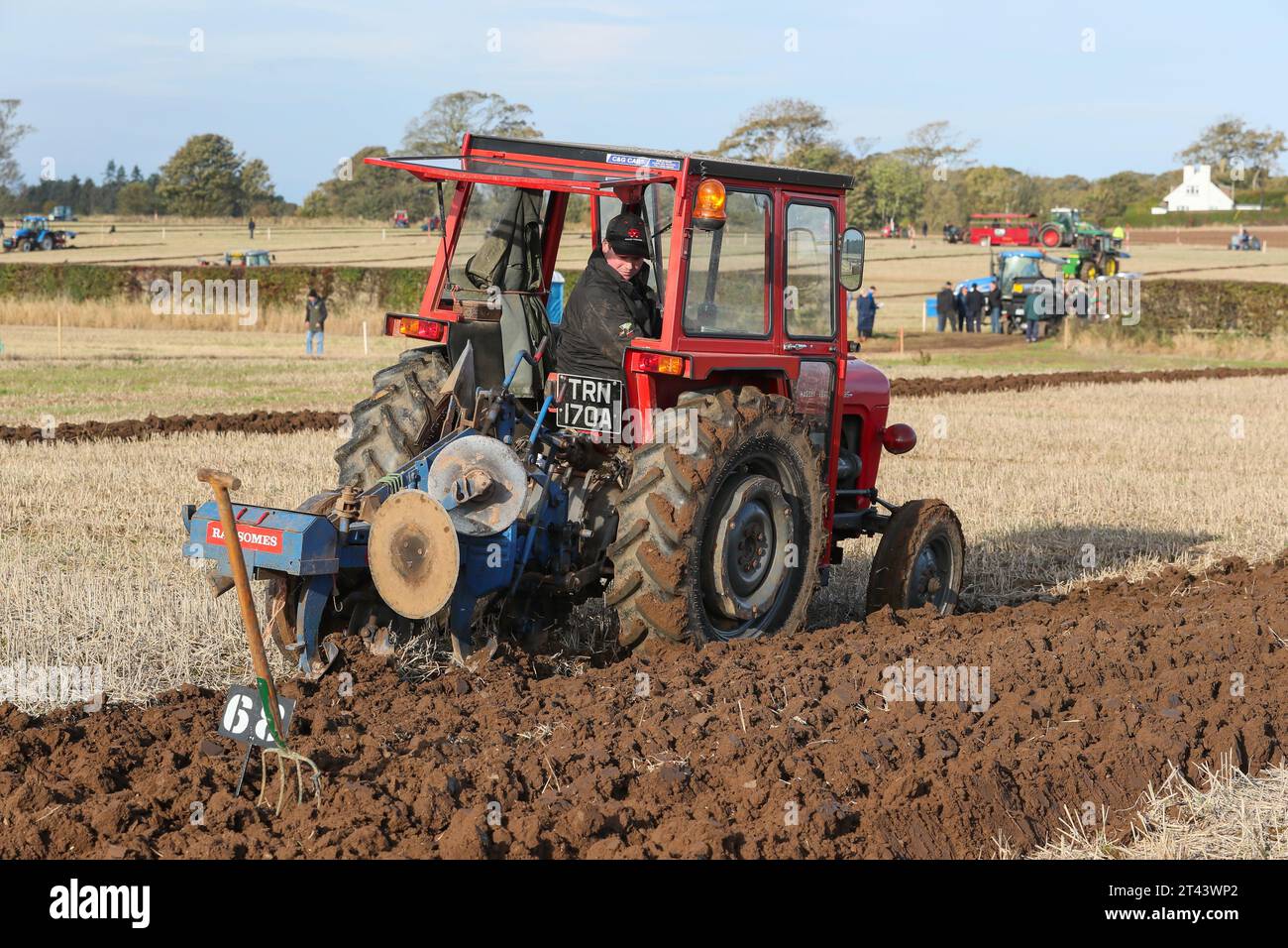 IPhone 8 Plus - Ricondizionato, Certificato E Garantito 12 Mesi - Foto 8