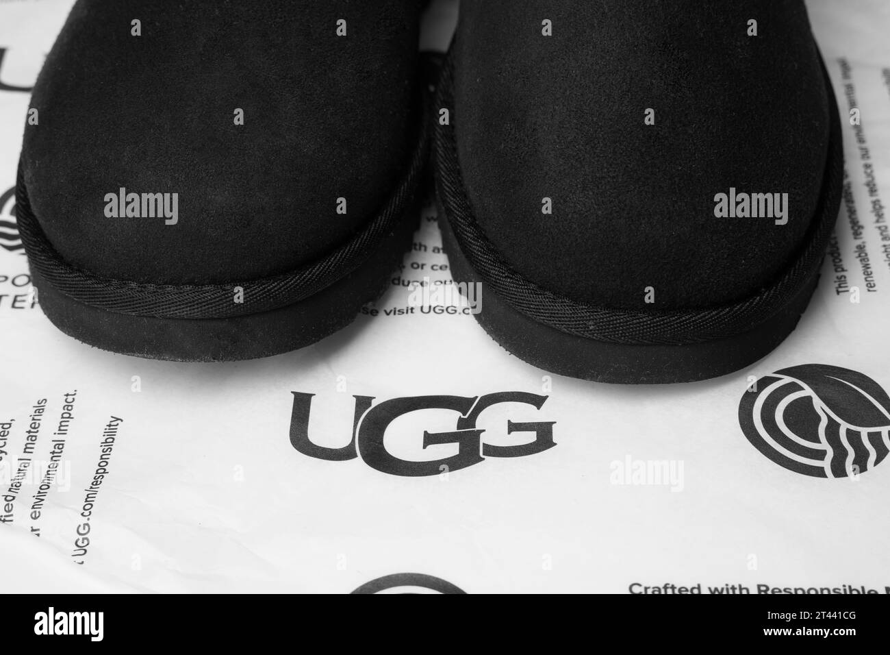 Stivali UGG corti e alla moda in pelliccia di pecora per l'inverno. Foto Stock