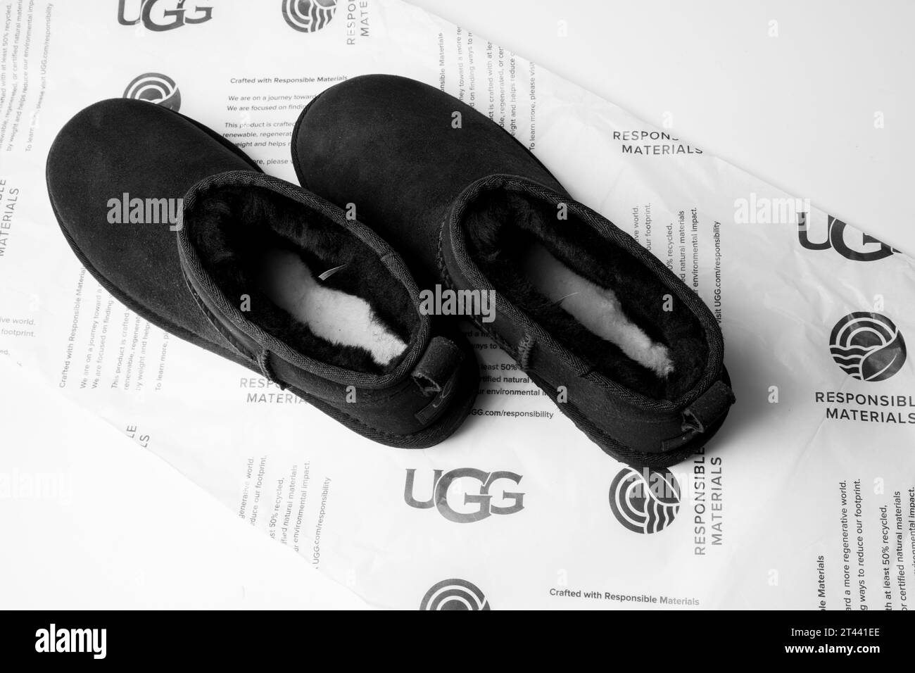 Stivali UGG corti e alla moda in pelliccia di pecora per l'inverno. Foto Stock