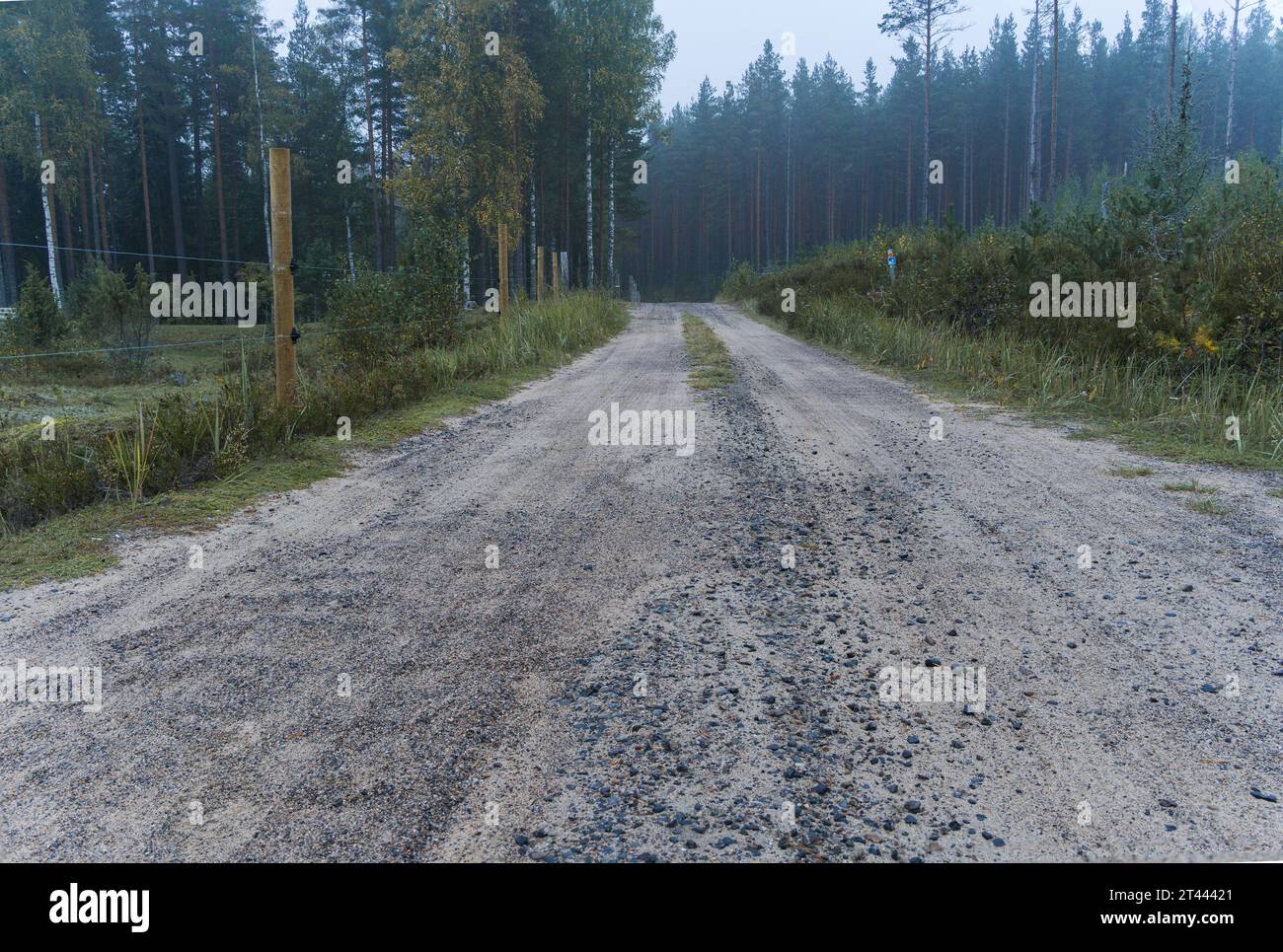 Strada di ghiaia vuota attraverso la campagna finlandese Foto Stock