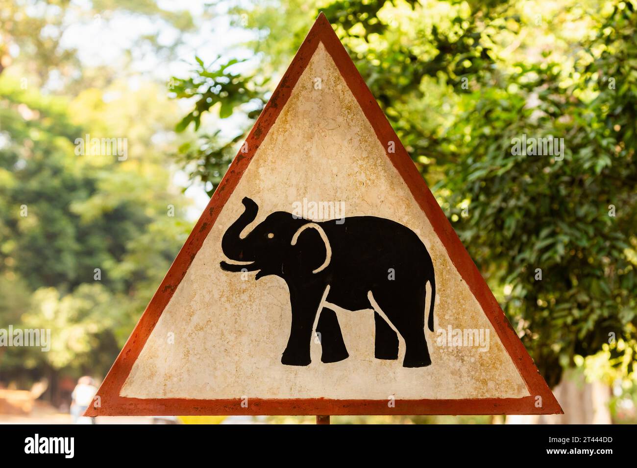 Cartello di avvertimento con elefante su una delle strade che circondano l'area di Angkor Wat in Cambogia. Foto Stock