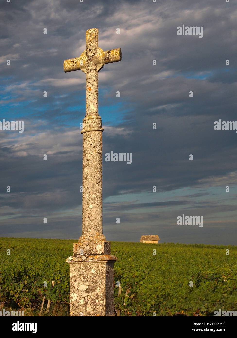 Croce e vigneto di Borgogna. Cote d'Or. Bourgogne Franche Comte Francia Foto Stock