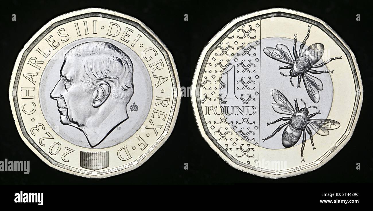 Prima moneta definitiva da 1 £ con re Carlo III, emessa nel 2023. Api Foto Stock