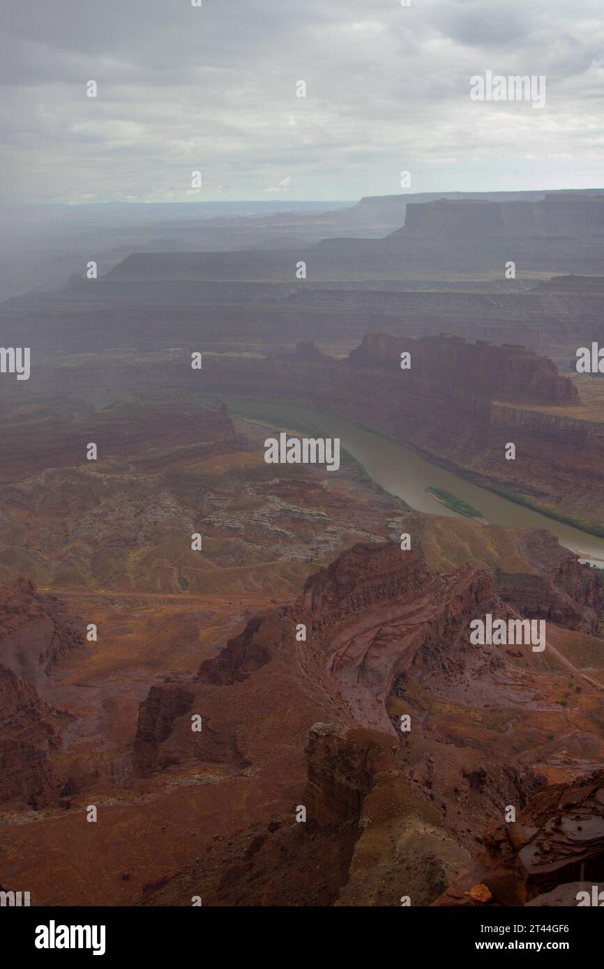 Canyonlands e il fiume Colorado viste dal Deadhorse Point State Park, Moab, Utah. Foto Stock