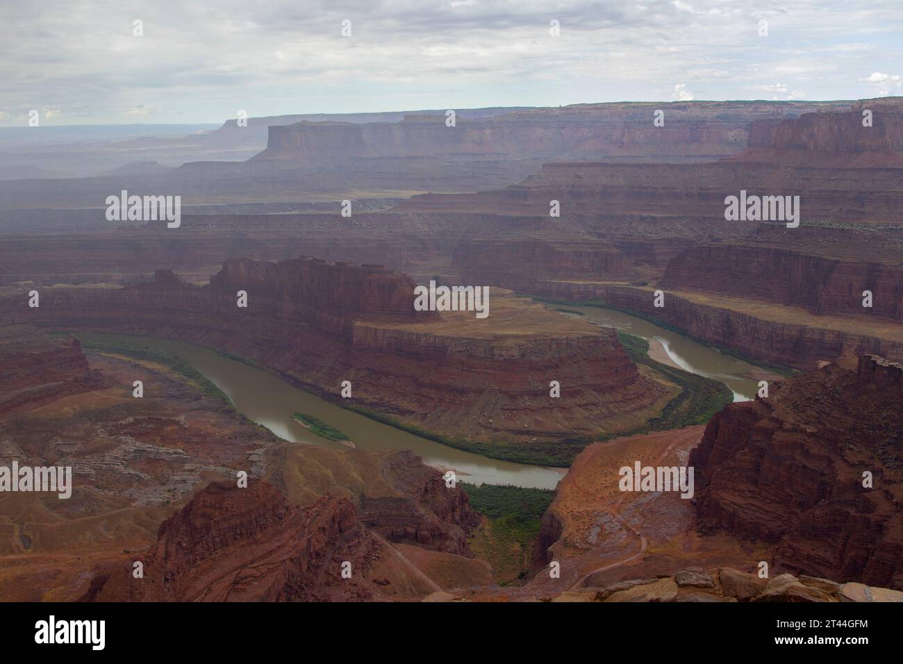 Canyonlands e il fiume Colorado viste dal Deadhorse Point State Park, Moab, Utah. Foto Stock