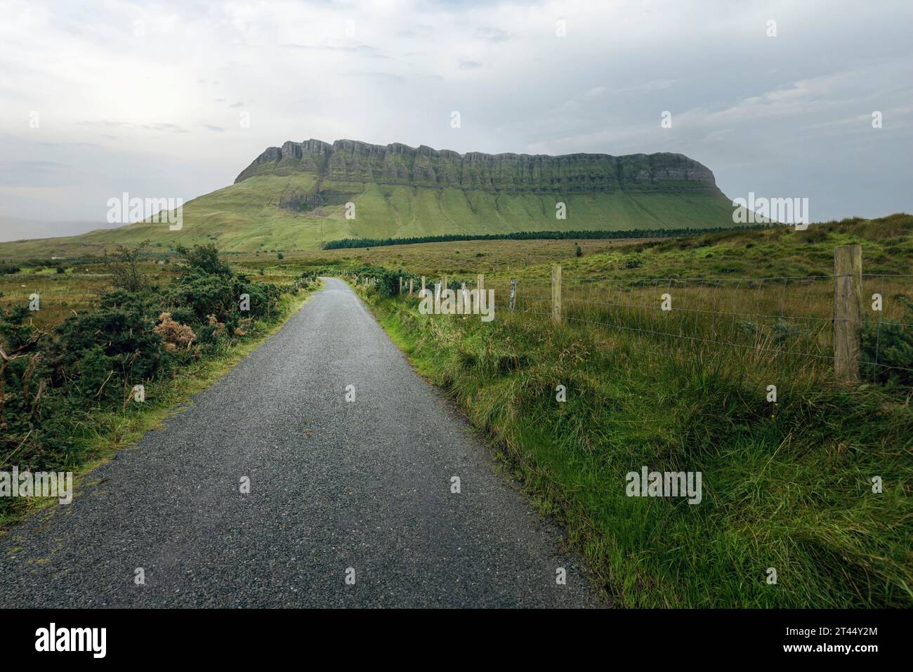 Il Benbulben è una montagna a tavola caratteristica situata nella contea di Sligo, in Irlanda. Foto Stock