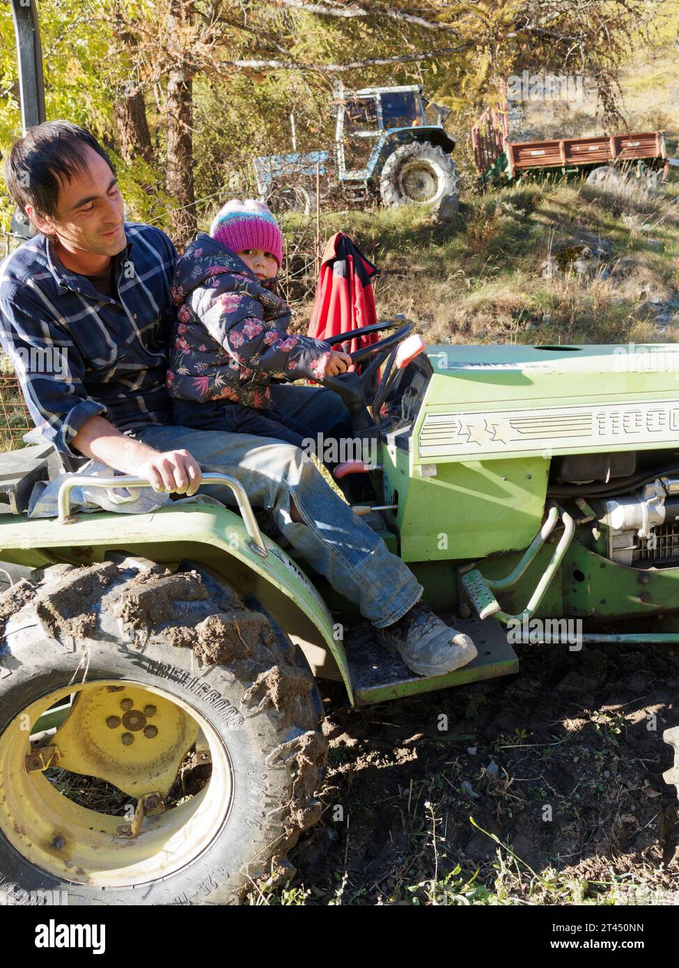 Agricoltore su un trattore con un fatto che tiene il volante in una giornata autunnale nella Valle d'Aosta, NW Italia. 27 ottobre 2023 Foto Stock