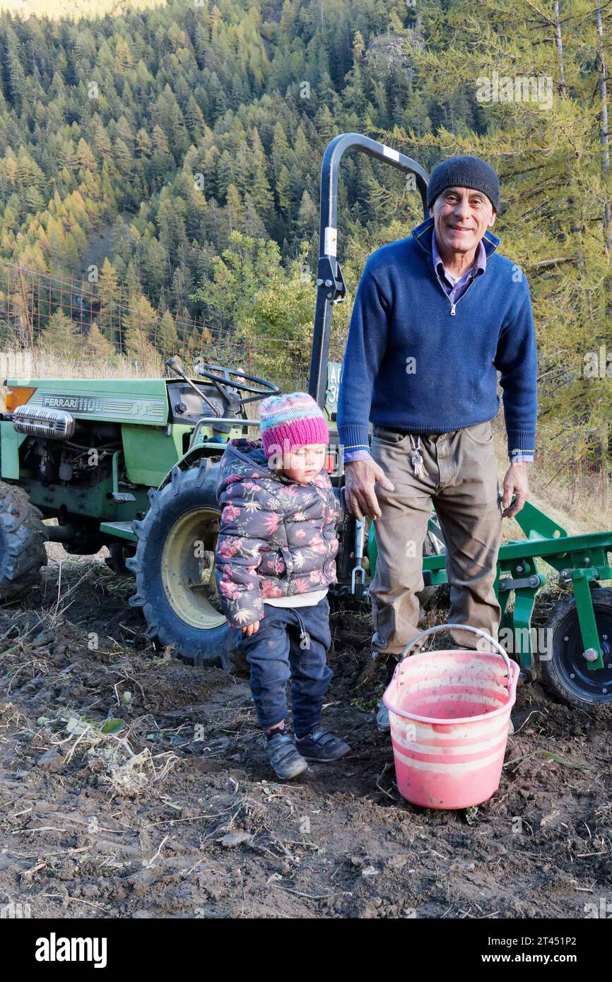 Nonno e nipote durante la raccolta delle patate in una giornata autunnale in Valle d'Aosta, NW Italia. 27 ottobre 2023 Foto Stock