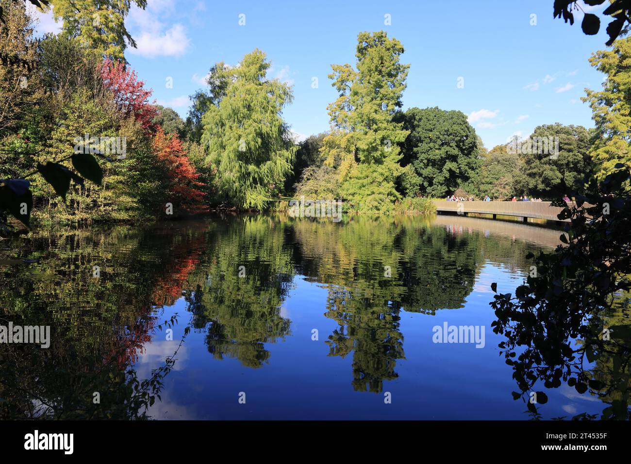 Lago e traversata autunnale, a Kew Gardens, SW London, Regno Unito Foto Stock