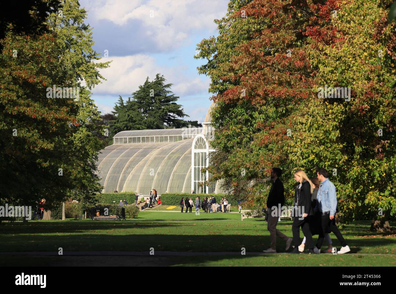 Palm House a Kew Gardens con colori autunnali, a SW London, Regno Unito Foto Stock