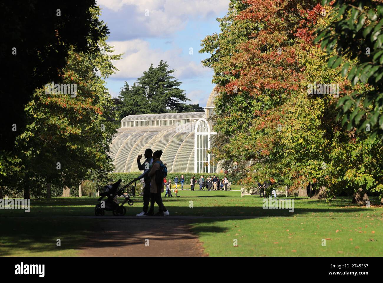 Palm House a Kew Gardens con colori autunnali, a SW London, Regno Unito Foto Stock