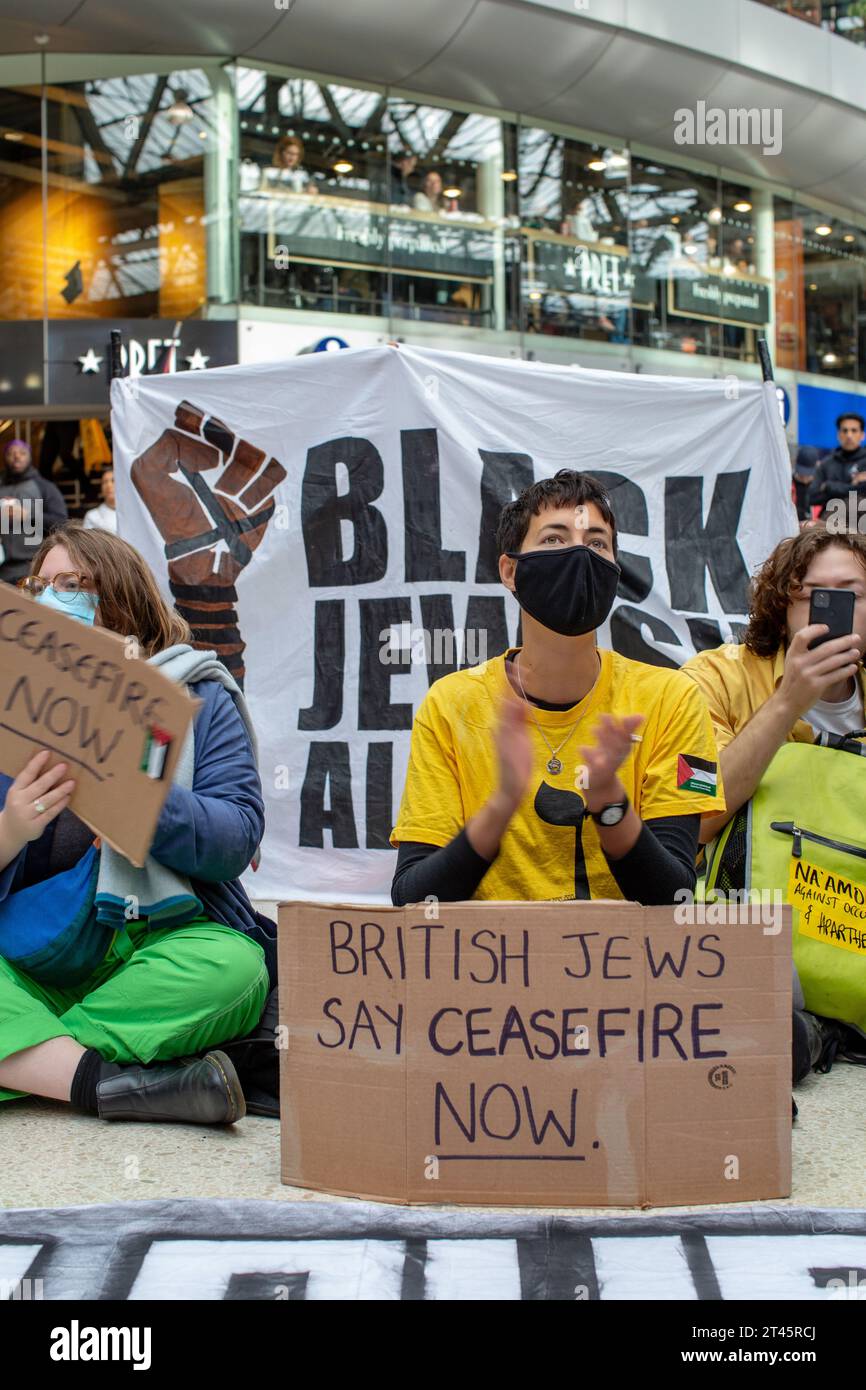 Londra, Regno Unito. 28 ottobre 2023. I manifestanti pro Palestina bloccano l'atrio della stazione di Waterloo. Gli ebrei britannici protestano con cartelli. Immagine di credito: © Horst Friedrichs credito: horst friedrichs/Alamy Live News Foto Stock