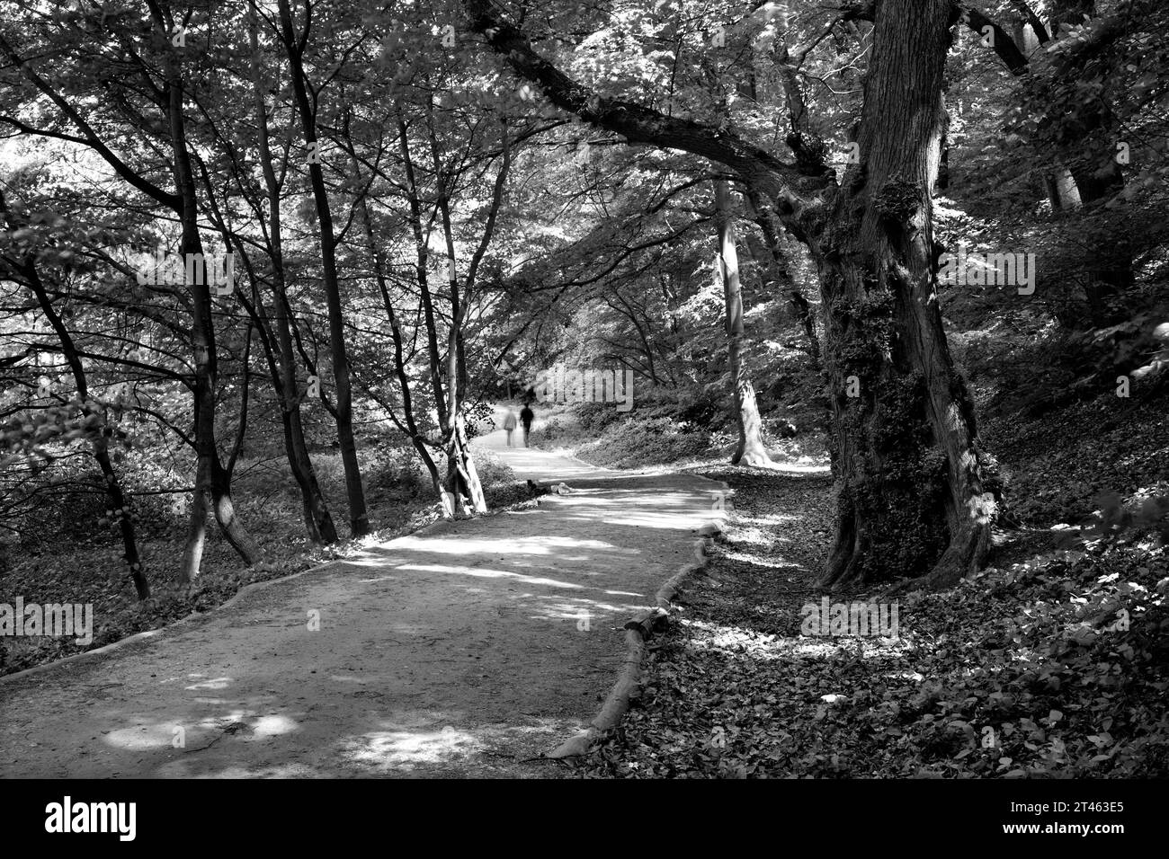 La passeggiata di coppia nel parco. Foto Stock