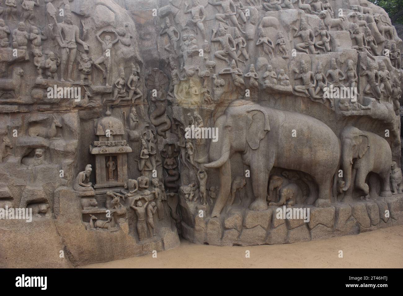 Sculture di elefante ad Arjuna la penitenza in Mahabalipuram India.Elefante scultura scolpita in granito.sito Patrimonio Mondiale dell'UNESCO Foto Stock