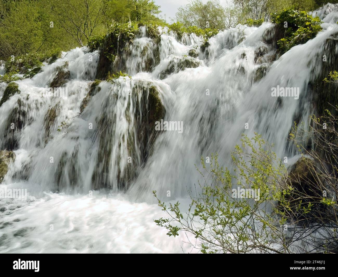 Bassa velocità dell'otturatore di splendide cascate, parco nazionale dei laghi di Plitvice UNESCO, spettacolare insolito paesaggio, foresta alpina verde con fogliame verde, immersioni biologiche Foto Stock