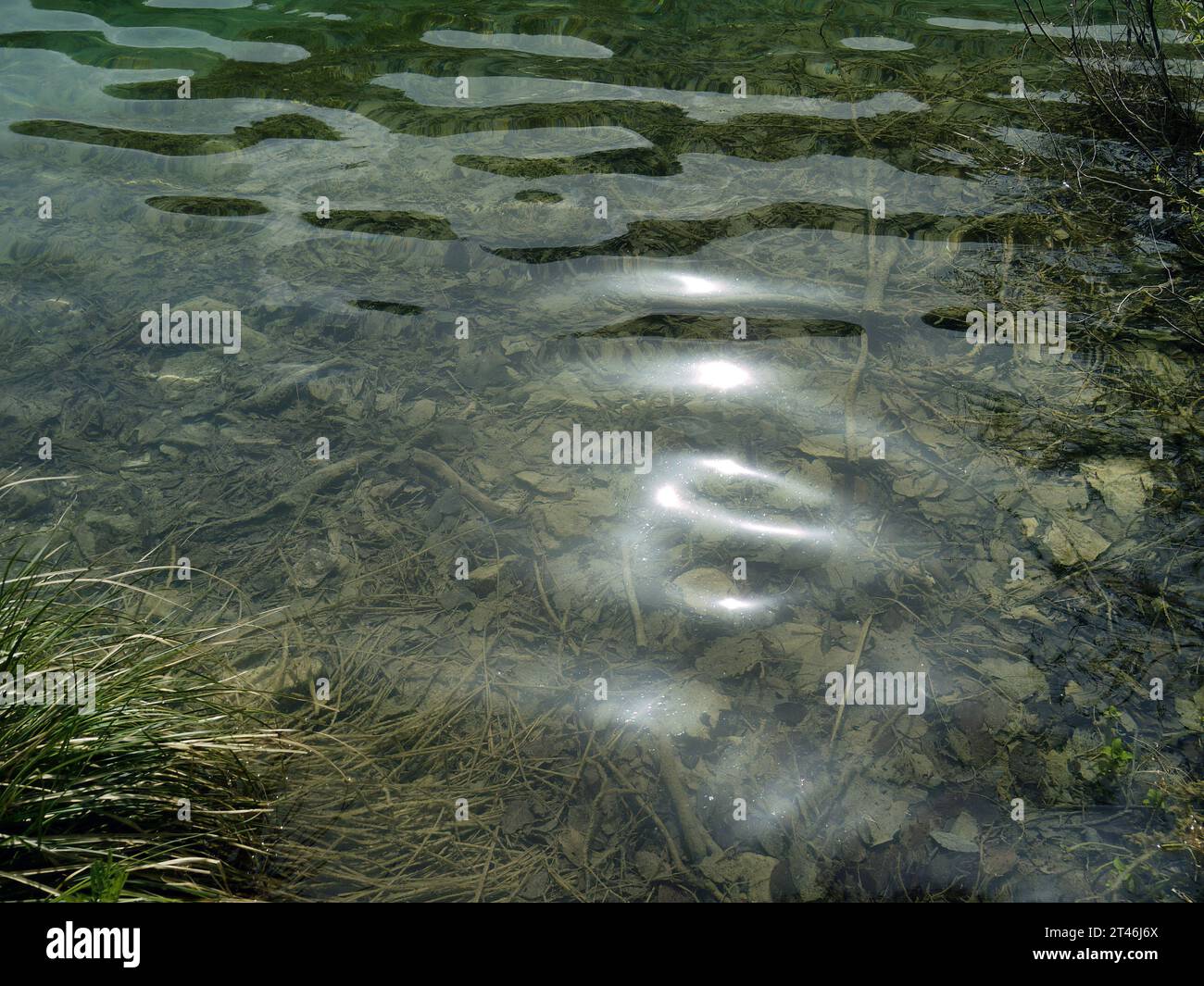 Riflesso delle acque cristalline del parco nazionale dei laghi di Plitvice, UNESCO, suggestivo paesaggio insolito, vegetazione verde foresta alpina, biodiversità, escursioni a piedi trai Foto Stock