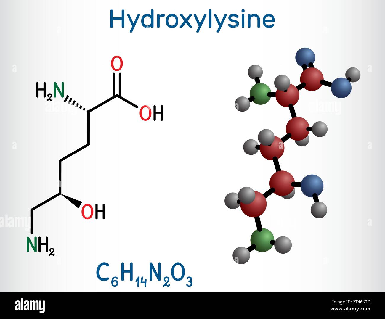 Idrossilisina, molecola Hyl. È aminoacido, metabolita umano. Formula chimica strutturale e modello molecolare. Illustrazione vettoriale Illustrazione Vettoriale